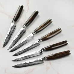 Shun Premier 6 Piece Steak Knife Set With Block 17 Shun Premier 6 Piece Steak Knife Set With Block -Shun 46870 scaled